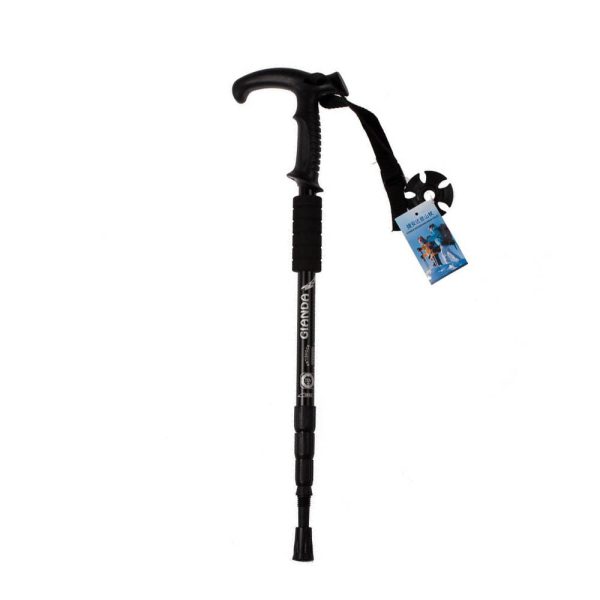 Walking Stick, Trekking Stick