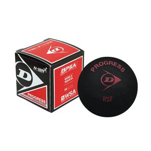 Dunlop Red Single Dot Squash Ball