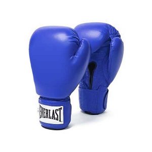 Everlast Blue Boxing Gloves